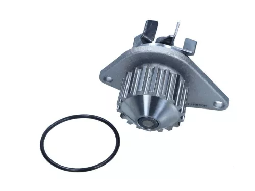 Wasserpumpe, Motorkühlung