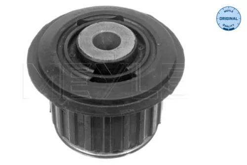 Lagerung, Automatikgetriebeträger