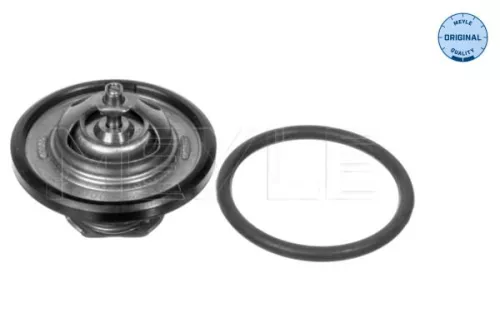 Thermostat, Kühlmittel