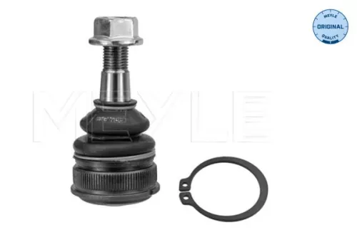 Trag-/Führungsgelenk