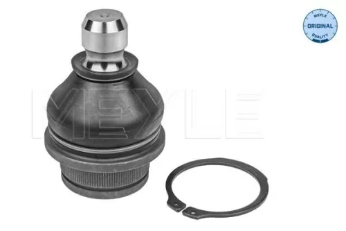 Trag-/Führungsgelenk