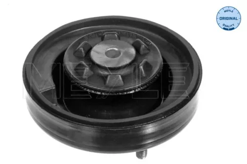 Federbeinstützlager