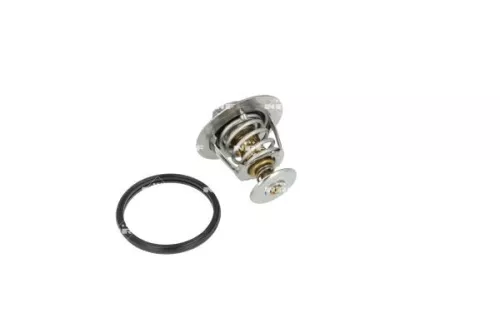 Thermostat, Kühlmittel